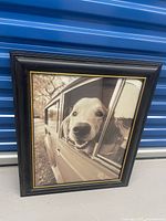 Front view of framed dog photograph