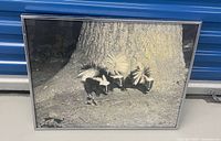 Front view of framed black-and-white photograph showing three skunks and frame detail