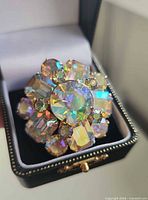 Brooch in presentation box showing overall design