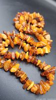 Necklace coiled showing amber chip coloration and texture