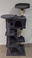 Full view of cat tree showing overall structure