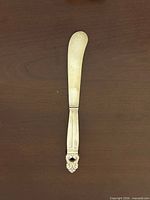 Full view of butter knife front