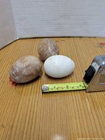 Three marble eggs beside tape measure