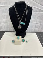 Full view of two necklaces on stand and four rings displayed below