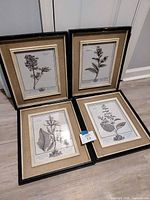 All four framed botanical prints