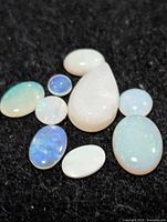 Group of ten opal cabochons on black background