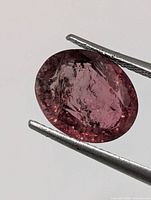 Front view of the oval pink tourmaline held by tweezers
