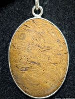 Front view of oval jasper pendant set in silver