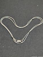 Full view of silver chain laid out