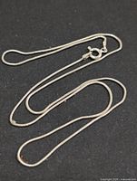 Full view of silver snake chain laid out