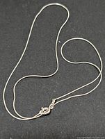 Full view of silver chain laid out
