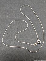 Entire snake chain laid out