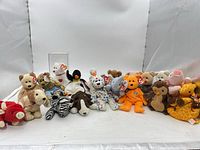 Full group of Beanie Babies lined on white surface