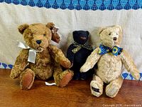 Group shot of three teddy bears: brown Canterbury, black MET, blond Canterbury