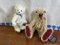 Both mohair bears standing/seated for size and style reference