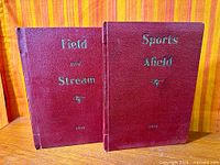 Both bound volumes standing, showing maroon covers with gilt lettering
