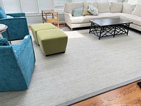Full view of rug under furniture showing color and texture