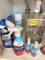 Group shot showing Downy sprays, Lysol cans, Softsoap jug