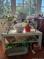 Overview of table with plants, metal stand, trays, and plant care supplies
