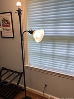 Full view of floor lamp showing main column, top light, and gooseneck reading arm with glass shade