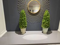 Front view of both topiaries on tabletop