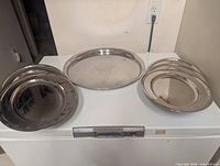 All eight stainless steel platters displayed on freezer top