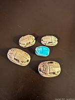 Five scarabs top view showing color and shell carving