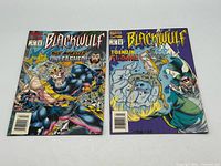 Both Blackwulf comic books front covers