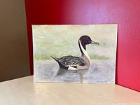 Framed view of signed Carolyn Plitz 1989 watercolour showing Northern Pintail duck in plastic sleeve