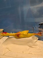 Full side view of yellow plastic chicken on cloth