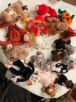 Group view of all 17 Beanie Babies spread on table