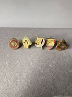 All five Loyal Order of Moose pins in one line