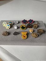 Overall view of 15 Rocky Mountain Elk Foundation lapel pins on display board