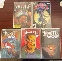 Group shot of all five bagged issues laid out on table