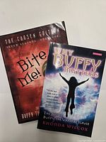 Both Buffy guide books displayed front covers