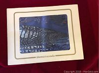 Box packaging showing the artwork visible through a clear window, labeled 'skemo canada'.