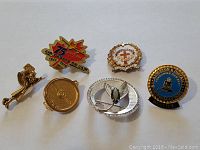 Six pins shown on flat surface with clear detail distinguishing design and condition.