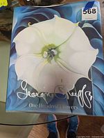 Front cover showing dust jacket art and title