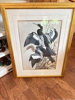 Full view of framed bird print in gold frame