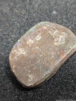 Front view of freeform polished ammolite slab showing mosaic iridescence