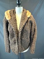 Front view showing Persian lamb texture, mink collar, pockets