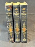 Spines of all three volumes showing titles, gilt decoration, spine damage on Volume I
