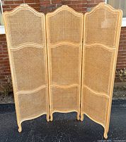 Front view of three-panel cane room divider fully extended