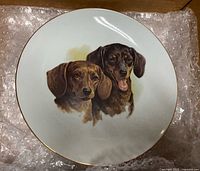 Front view of porcelain plate showing Dachshund illustration and gold rim