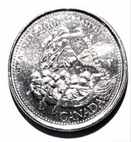 Reverse showing flying canoe design and date 2000