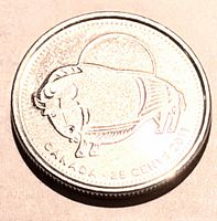 Reverse side showing Wood Bison design, denomination and date