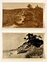 Fronts of both sepia postcards showing Hindhead and Branksome Chine images