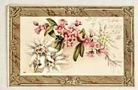 Front of postcard showing floral illustration and embossed border