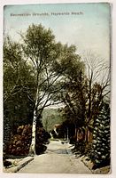 Front of postcard with caption and tree-lined road