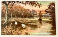 Front image of postcard with forest pool and swans